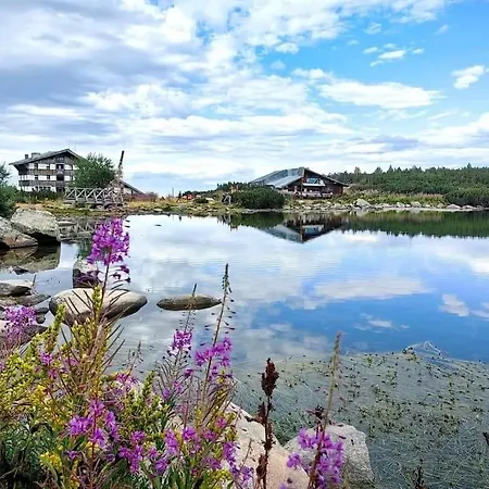 Alpine Apartment