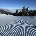 شقة Alpine *