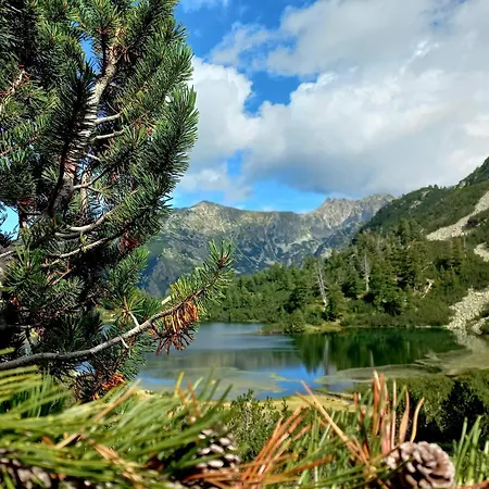 Апартамент Alpine *