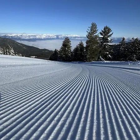 Διαμέρισμα Alpine *